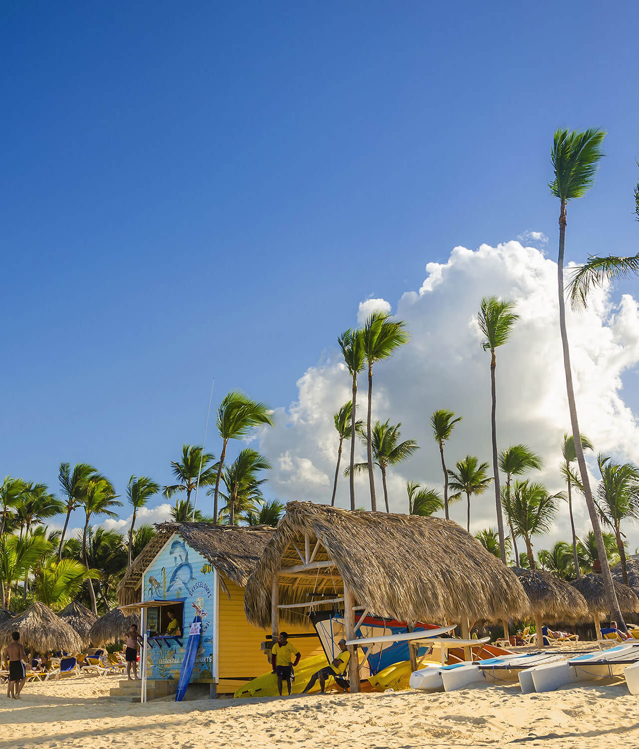 misja jamaica jamajka wyprawy na jamajkę